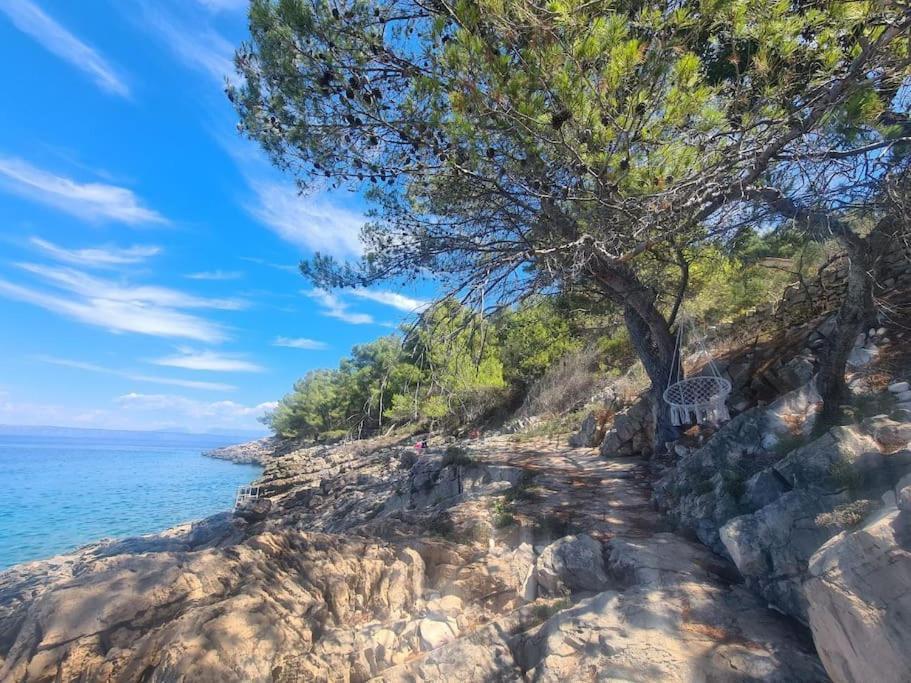 Koki Eco House Holiday home Blato (Korcula)
