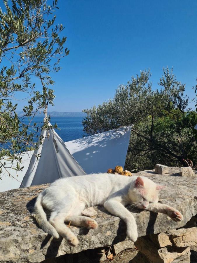 Holiday home Koki Eco House *